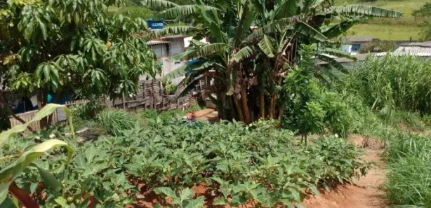 Lote/Terreno à venda, 353m² no Jardim Nicea, Itaquaquecetuba