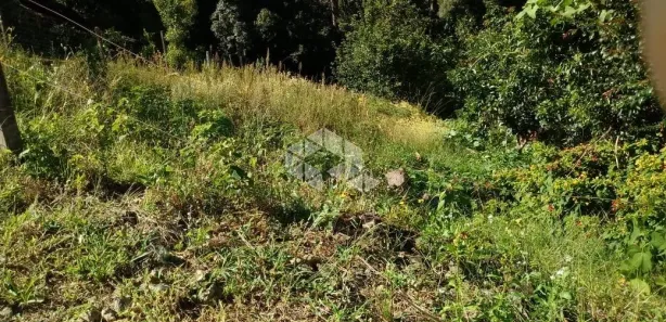 Lote/Terreno à venda, 611m² no São Roque, Bento Gonçalves