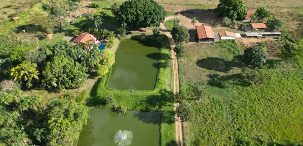 Fazenda/Sítio com 2 Quartos à venda, 2000m² no , Guapó