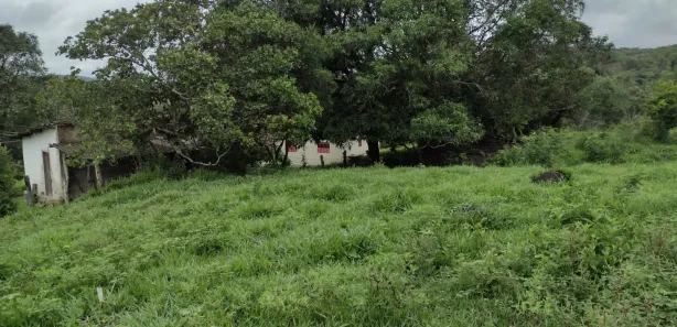 Lote/Terreno à venda, 20000m² no Zona Rural, Fortuna de Minas
