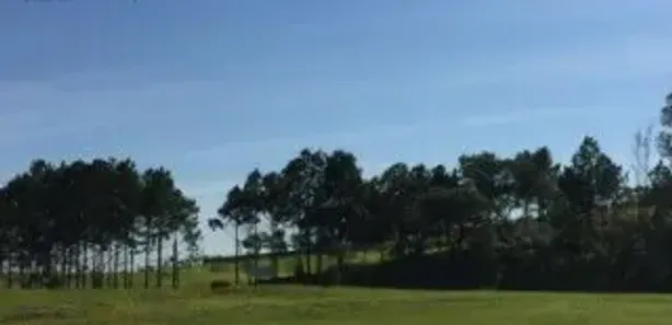 Lote/Terreno para venda ou aluguel, 10900m² no Vila Artura, Sorocaba