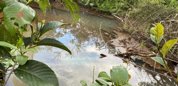 Fazenda/Sítio com 4 Quartos à venda, 5000m² no Área Rural de Anápolis, Anápolis