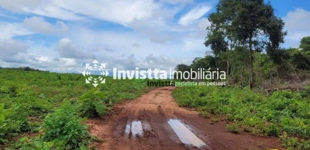 Fazenda/Sítio à venda, 3330m² no Centro, Estreito