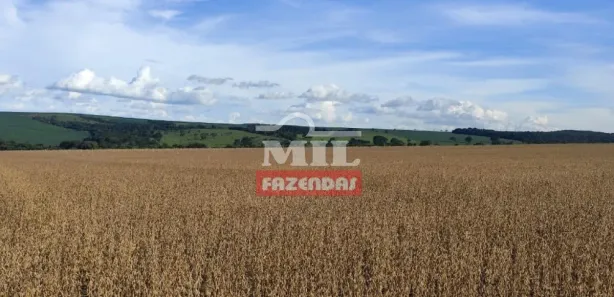 Fazenda/Sítio à venda, 20000m² no , Gameleira de Goiás