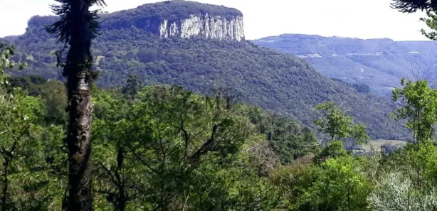 Lote/Terreno à venda, 15000m² no Dos Boêmios, Nova Petrópolis