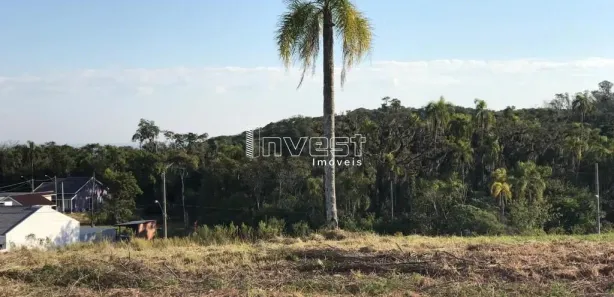 Lote/Terreno à venda, 327m² no João Alves, Santa Cruz do Sul