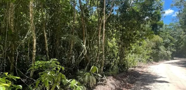 Lote/Terreno à venda, 5000m² no Trancoso, Porto Seguro