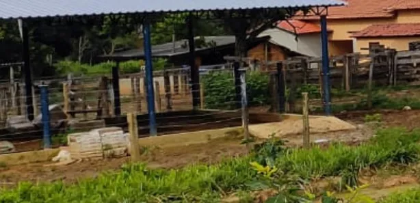 Fazenda/Sítio à venda no , Buritis