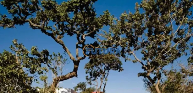 Lote/Terreno à venda, 900m² no , Brasília