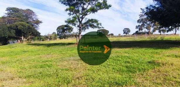 Fazenda/Sítio à venda, 1936000m² no , Itaberaí