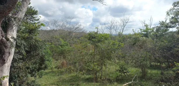 Lote/Terreno à venda, 20000m² no Zona Rural, Paraopeba