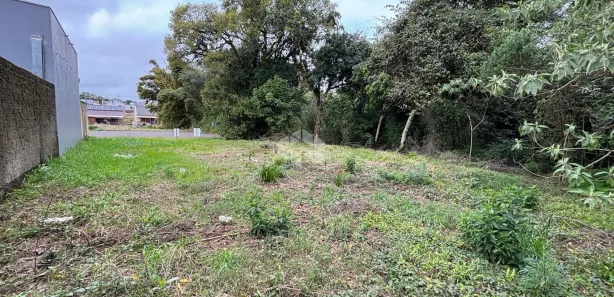 Lote/Terreno à venda, 336m² no Santo Inácio, Santa Cruz do Sul