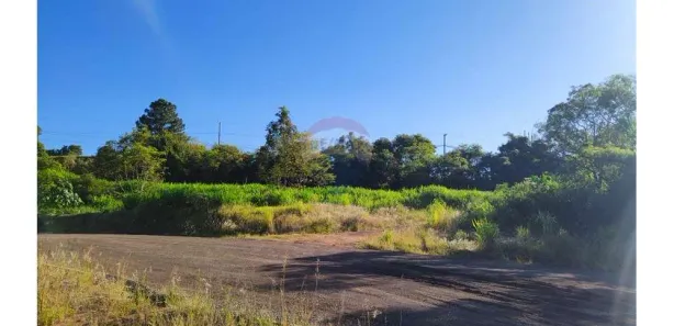 Lote/Terreno para alugar, 400m² no , Sarandi