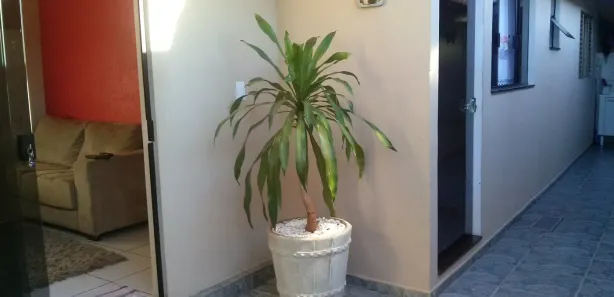 Casa com 3 Quartos à venda, 201m² no Taquaral, Brotas