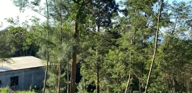 Lote/Terreno à venda, 410m² no Nova Petrópolis, Nova Petrópolis