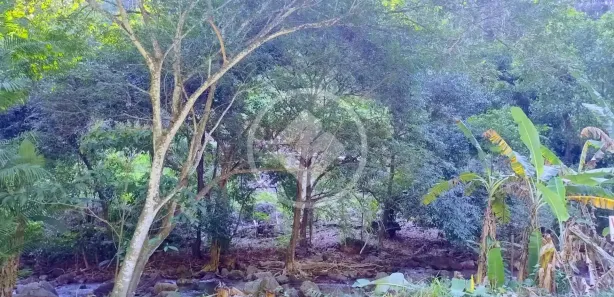 Fazenda/Sítio à venda, 2000m² no Comunidade Urbana de Jaboti, Guarapari