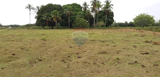 Fazenda/Sítio à venda, 1400000m² no Centro, Caravelas