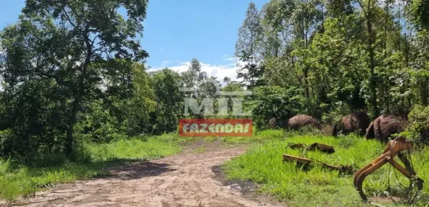 Fazenda/Sítio à venda, 484000000m² no , Jaraguá