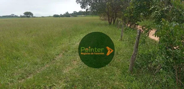 Fazenda/Sítio à venda, 242000m² no , Itaberaí