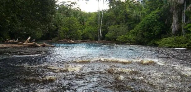 Lote/Terreno à venda, 200000m² no , Presidente Figueiredo