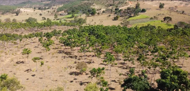 Lote/Terreno à venda, 20000m² no , Cordisburgo