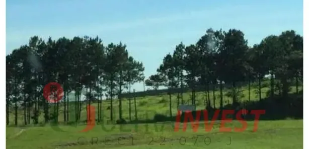 Lote/Terreno para venda ou aluguel, 1m² no Vila Artura, Sorocaba
