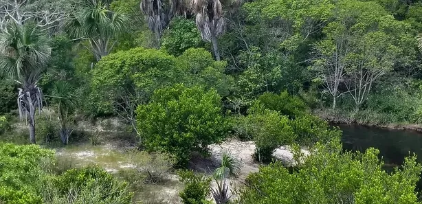 Lote/Terreno à venda, 1010000m² no , Santo Amaro do Maranhão