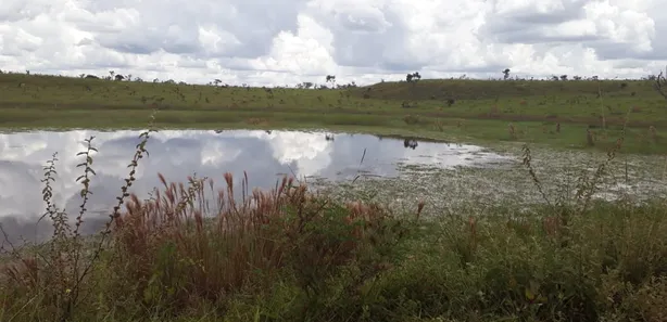 Lote/Terreno à venda, 20000m² no , Cordisburgo
