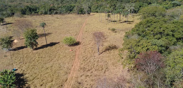 Fazenda/Sítio à venda, 20000m² no , Brasília