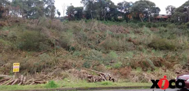 Lote/Terreno à venda, 480m² no Nova Petrópolis, Nova Petrópolis