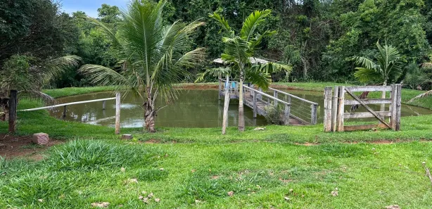 Fazenda/Sítio à venda, 7500000m² no Trevo do José Rosário, Leopoldo de Bulhões