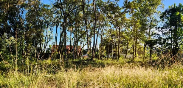 Lote/Terreno à venda, 456m² no Nova Petrópolis, Nova Petrópolis