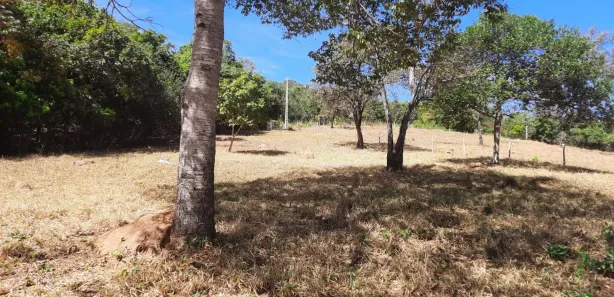 Fazenda/Sítio com 3 Quartos à venda, 48000m² no , Bonfinópolis
