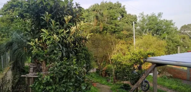Lote/Terreno à venda, 401m² no Chácara das Flores, Santa Maria