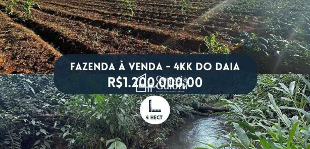 Fazenda/Sítio com 3 Quartos à venda, 40000m² no Setor IND. MUNIR CALIXTO, Anápolis