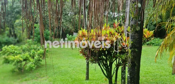 Fazenda/Sítio com 4 Quartos à venda, 30000m² no , Santana do Riacho