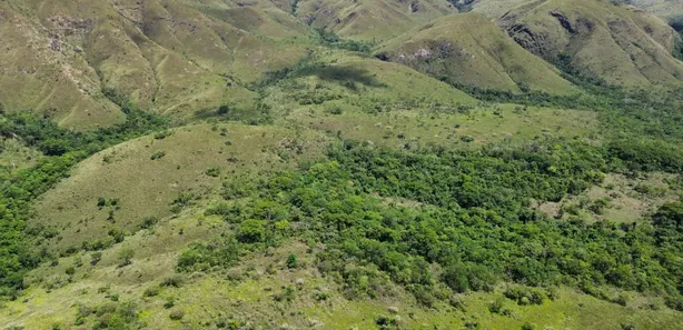 Fazenda/Sítio à venda, 5808000m² no , Padre Bernardo