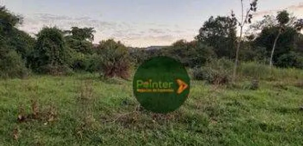 Fazenda/Sítio à venda, 1306800m² no , 