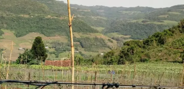 Lote/Terreno à venda, 120000m² no Forqueta Baixa, Vale Real