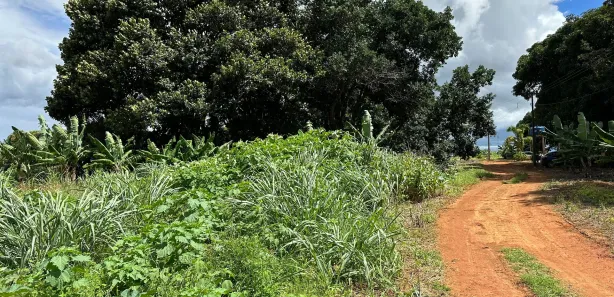 Fazenda/Sítio com 3 Quartos à venda, 33403m² no Área Rural de Brazlândia, Brasília