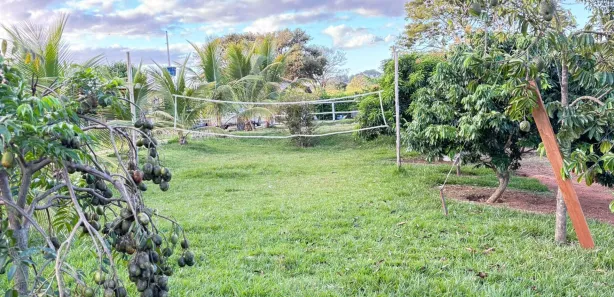 Fazenda/Sítio com 3 Quartos à venda, 3000m² no , Nerópolis