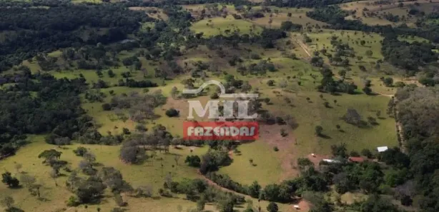 Fazenda/Sítio à venda, 20000m² no , Jaraguá