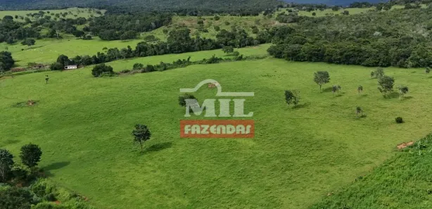 Fazenda/Sítio à venda, 500m² no , Jaraguá