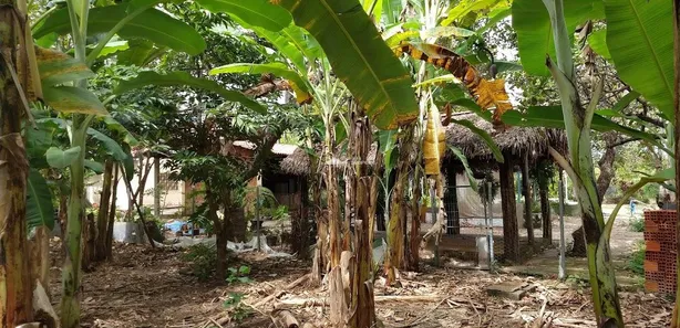 Fazenda/Sítio à venda, 800m² no Tranqueira, Altos