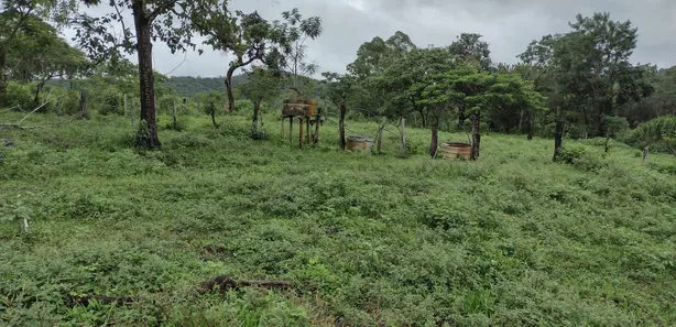 Lote/Terreno à venda, 20000m² no , Fortuna de Minas