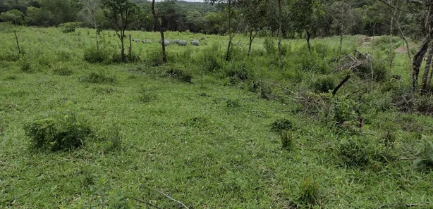 Lote/Terreno à venda, 20000m² no , Fortuna de Minas