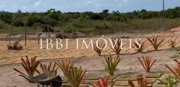 Lote/Terreno à venda, 20461m² no Mogiquiçaba, Belmonte