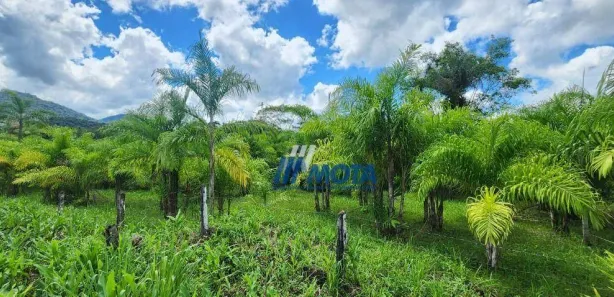 Fazenda/Sítio com 3 Quartos à venda, 300m² no Rio do Cedro, Antonina