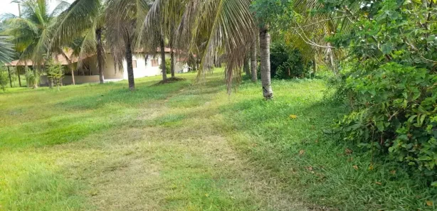 Fazenda/Sítio com 3 Quartos à venda, 130m² no Goiás, Goiás