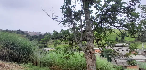 Lote/Terreno à venda, 391m² no Jardim Nicea, Itaquaquecetuba